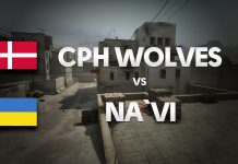 Na`Vi vs CPH WOLVES on de_dust2 @ ESL ONE COLOGNE by ceh9