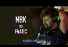 DreamHack Winter 2014: NBK vs Fnatic