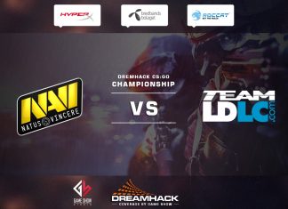 NaVi vs Team LDLC de_inferno 1/2 финала DreamHack Winter 2014