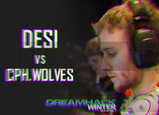 DreamHack Winter 2014: Desi vs Cph Wolves