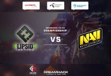 NaVi vs FlipSid3 @DreamHack Winter 2014