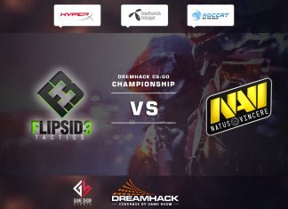NaVi vs FlipSid3 @DreamHack Winter 2014