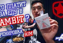 Влог: Тренировка AIM от AdreN! Кто в GAMBIT платит за еду?