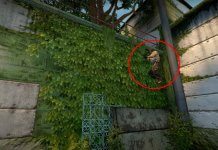 Подсадки, баги и фишки на новом Cache (Кэше) 10.10.2019 Подсадки, баги и фишки на новом Cache (Кэше) 10.10.2019